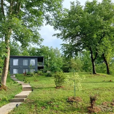 Casa De Pe Un Deal-provita De Sus-prahova