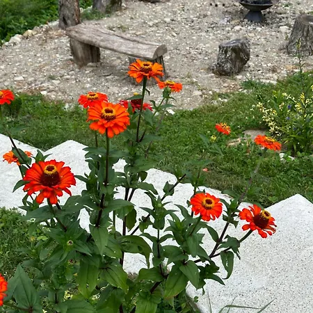 Casa De Pe Un Deal-provita De Sus-prahova