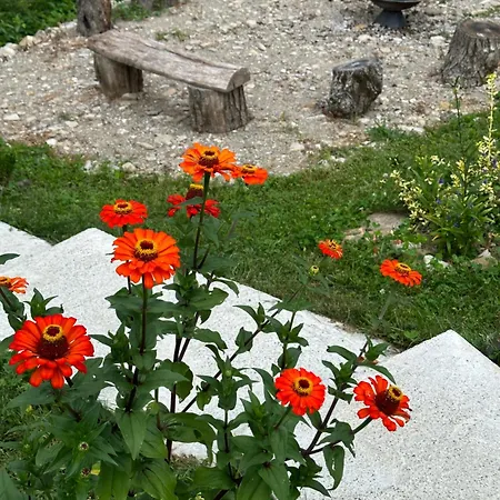 Casa De Pe Un Deal-provita De Sus-prahova * Provita de Sus